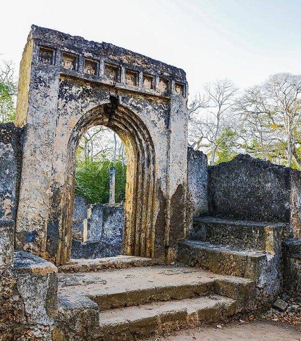 Gedi Ruines An image of gedi ruines, situated in the outskirts of Mombasa, nyali. Few km from Bahari beach hotel.